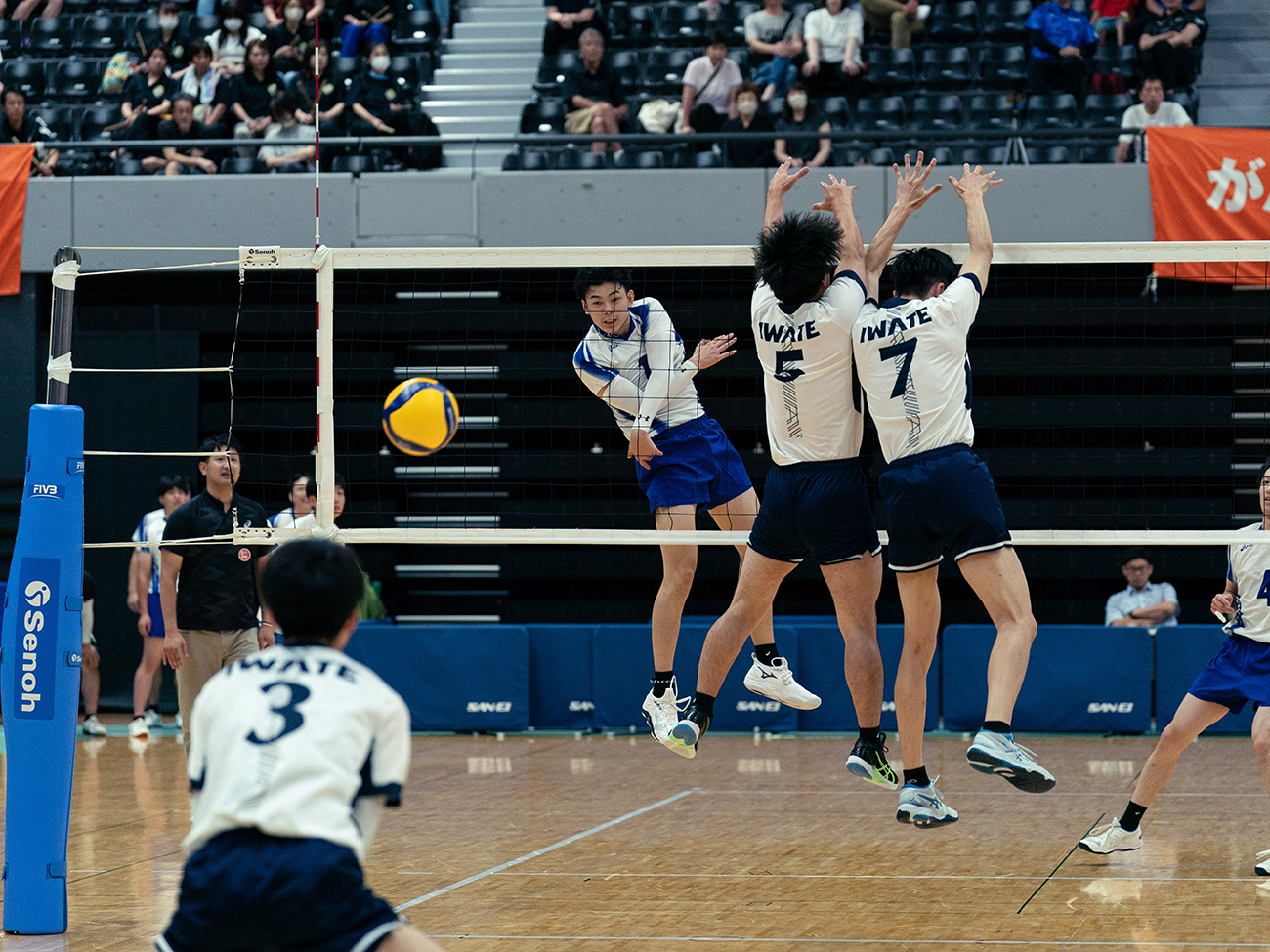 SKYROCKETS AKITAフォトギャラリー