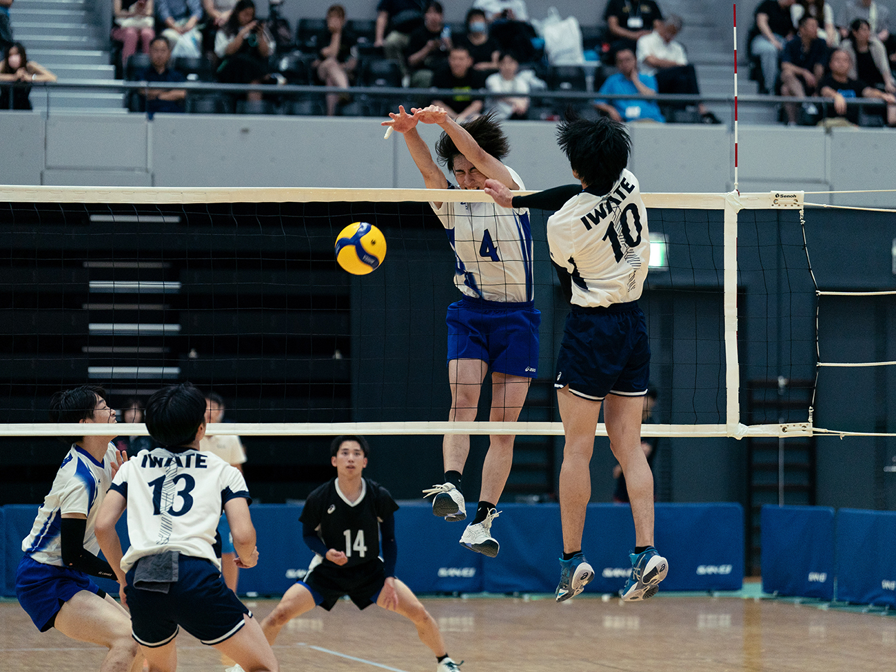 SKYROCKETS AKITAフォトギャラリー