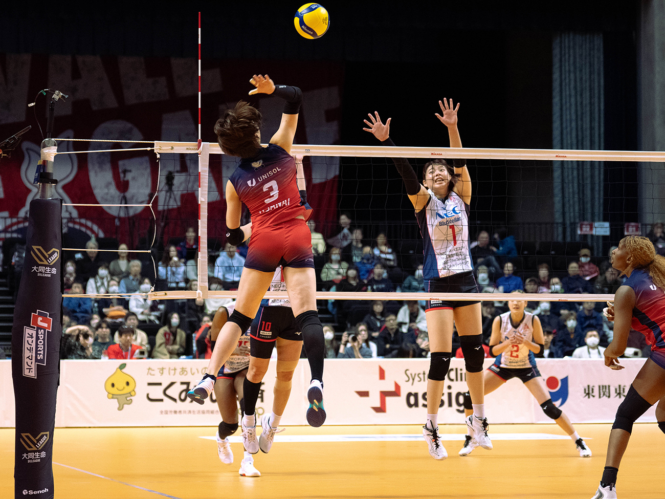 Astemoリヴァーレ茨城 vs NEC